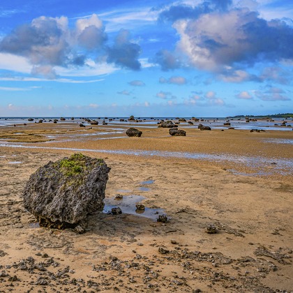 稗田裕規が撮影したその他の写真