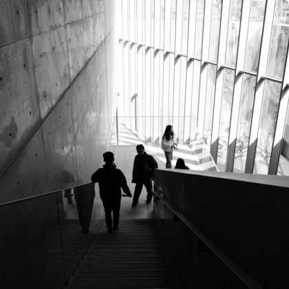 福井麻里が撮影した「:albumName」の写真