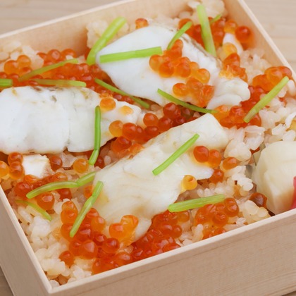 森安　照が撮影した「:albumName」の写真