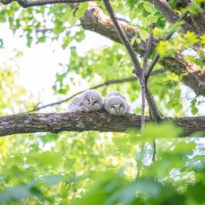 山口奈緒が撮影した「:albumName」の写真