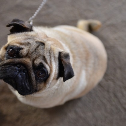 Peace-full photoが撮影した「:albumName」の写真