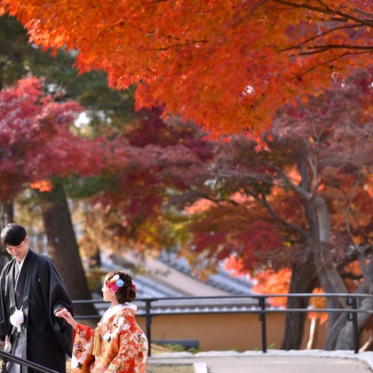 キキフォトワークスが撮影した「:albumName」の写真