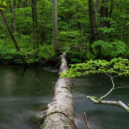 Shintaro Tsushimaが撮影した店舗/オフィス/サロン撮影の写真