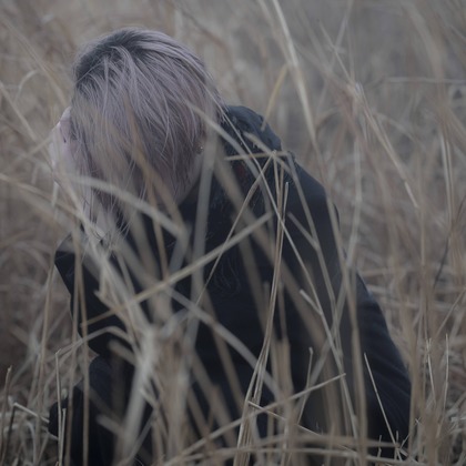 ならもとかずやが撮影した「:albumName」の写真