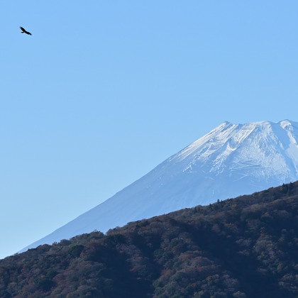 あまかど スタジオが撮影したその他の写真