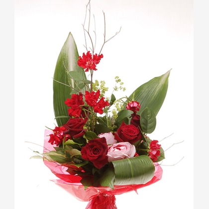 有限会社　澤田スタジオが撮影した「:albumName」の写真