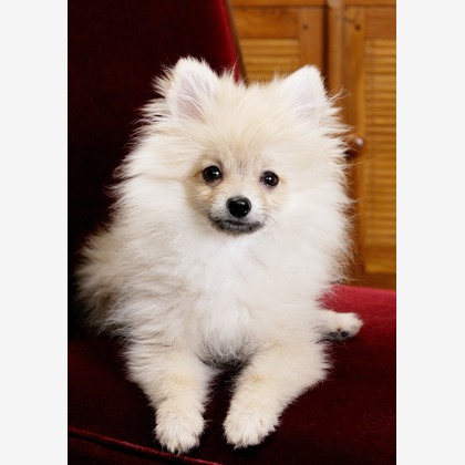 森安　照が撮影した「:albumName」の写真