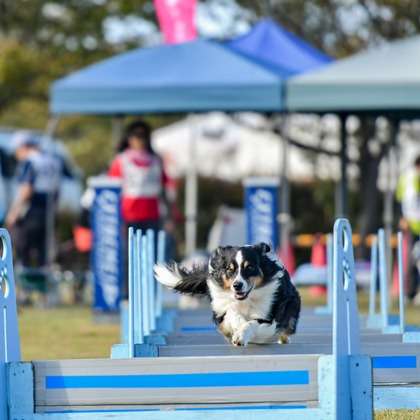 スタジオファンタスが撮影した「:albumName」の写真