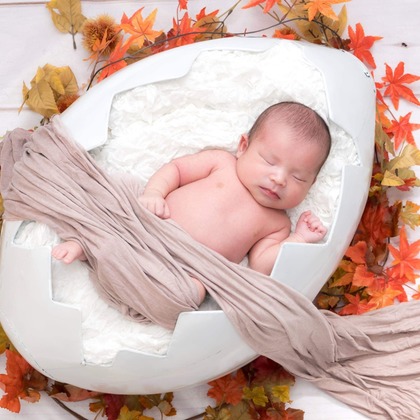 かわもとえつこが撮影した「:albumName」の写真