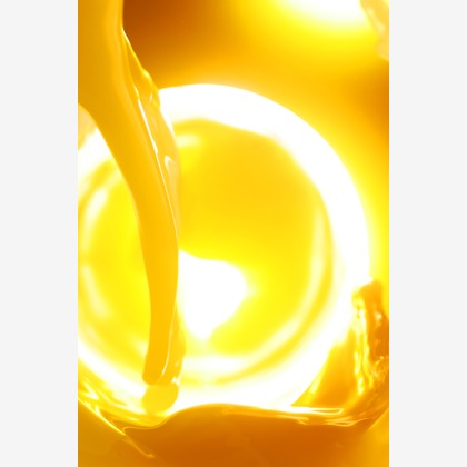 田中真光写真事務所が撮影した「:albumName」の写真