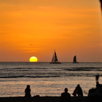 マイクロコズム合同会社が撮影した「:albumName」の写真