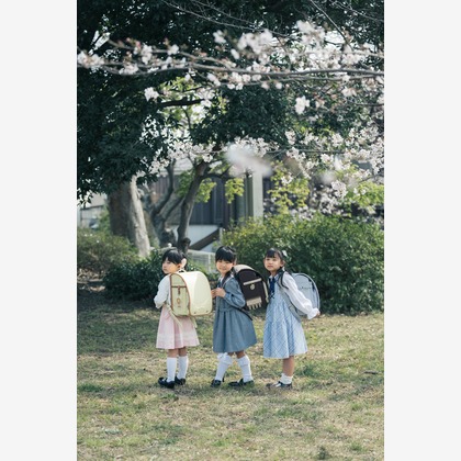 shihoが撮影した「:albumName」の写真