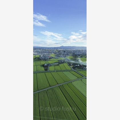 studio風集が撮影したその他の写真