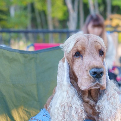 牧野 政宏が撮影したウェディングや家族、ビジネスの写真