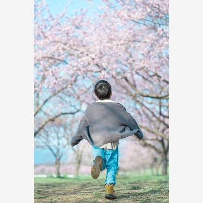 Tempstendreが撮影した「:albumName」の写真