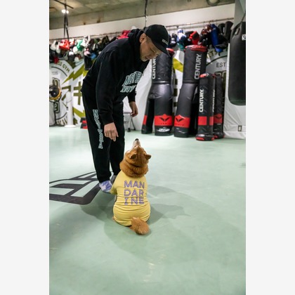 吉田佳央が撮影した「DOG SHOOTING」の写真