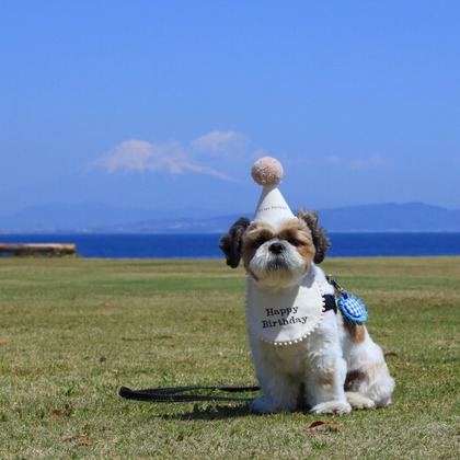 CREAMYが撮影した「:albumName」の写真