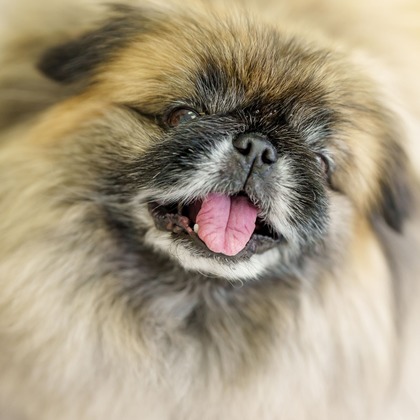 クリエイティブツリーが撮影した「:albumName」の写真