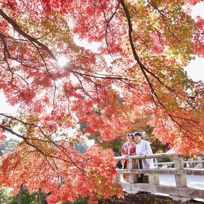 キキフォトワークスが撮影した「:albumName」の写真