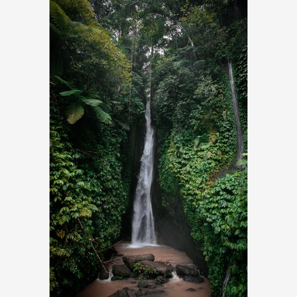 warren nathanが撮影した「:albumName」の写真