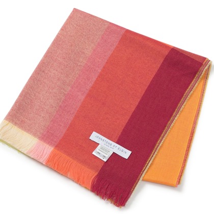 尾田信介が撮影した「:albumName」の写真