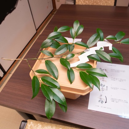 k.filmsが撮影した「ウェディング・結婚」のウェディングフォト - :albumName