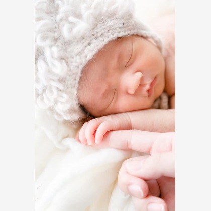 mina photographが撮影した「:albumName」の写真