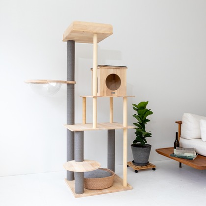 株式会社トリプルスタンダードが撮影した「:albumName」の写真