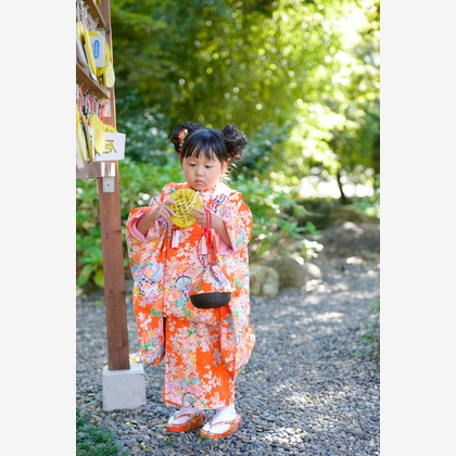 アラタンホヤガが撮影した「:albumName」の写真