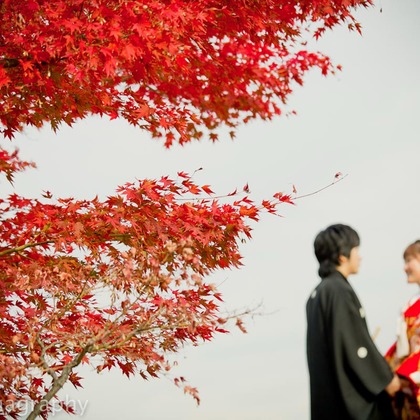 シキラマ グラフィーが撮影したウェディングや家族、ビジネスの写真