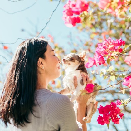 ポートレート沖縄が撮影した「:albumName」の写真