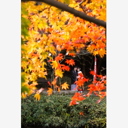 Photo of :albumName taken by Smilehunter