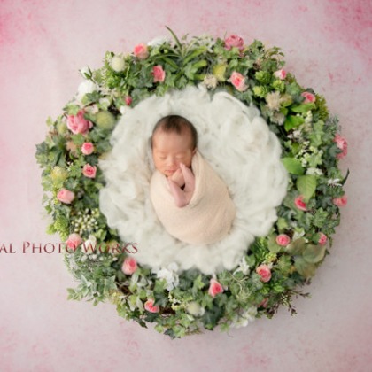 Keiko Yuzawaが撮影したスタジオ撮影の写真