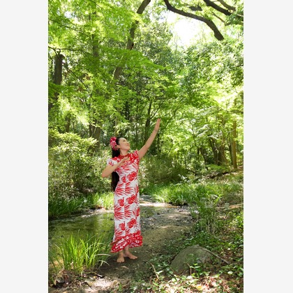 スマイルハンターが撮影した「:albumName」の写真