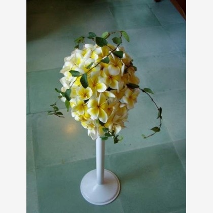 マニス ウェディングが撮影した「:albumName」の写真