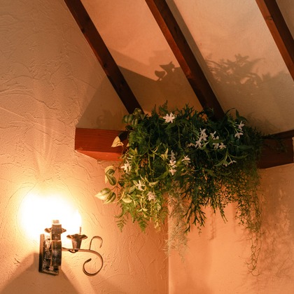 山﨑さと子が撮影した「:albumName」の写真