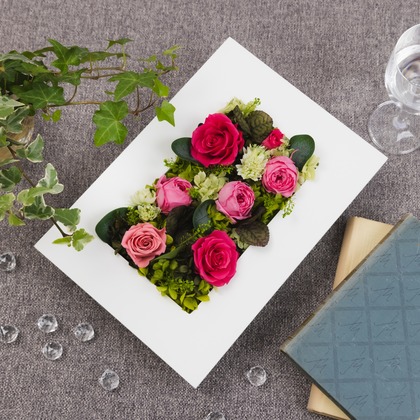 Minminが撮影した商品/物撮りの写真