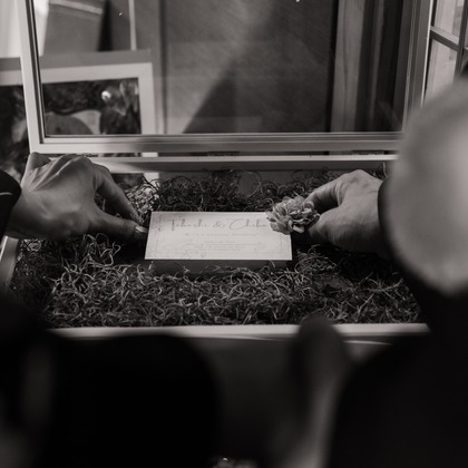 大坪幹武が撮影したウェディングや家族、ビジネスの写真