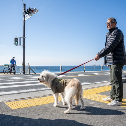 吉田佳央が撮影した「DOG SHOOTING」の写真