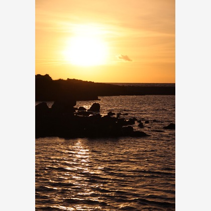 blink photoが撮影したウェディングや家族、ビジネスの写真