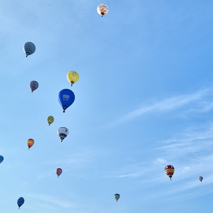 津田野 瑞希が撮影した「:albumName」の写真