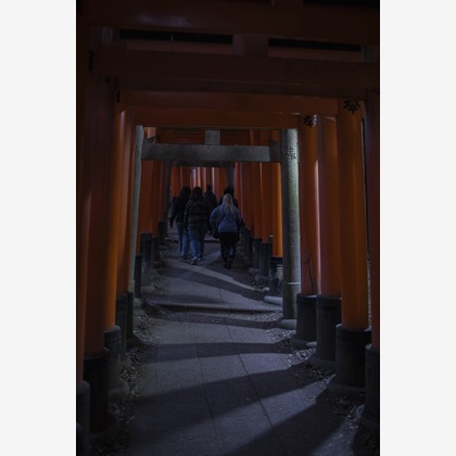 松見　翠が撮影した「:albumName」の写真