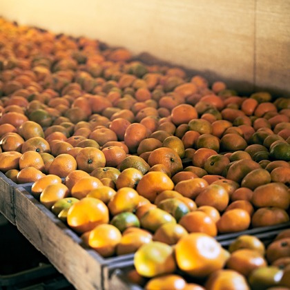 大橋裕紀が撮影したイベント/スナップ撮影/商品/物撮り/人物撮影の写真
