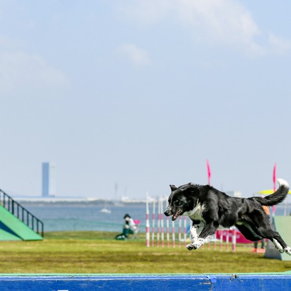 スタジオファンタスが撮影した「:albumName」の写真