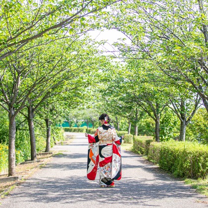 ゾクが撮影した「:albumName」の写真