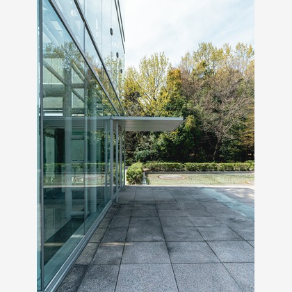 森本海斗が撮影した「:albumName」の写真