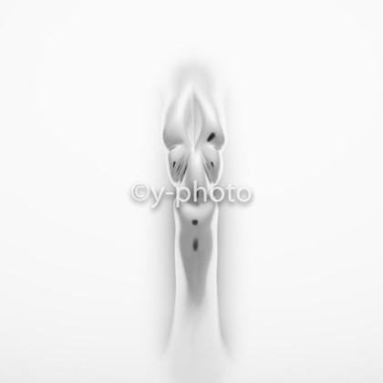 y-photoが撮影した「ビジネス」の写真