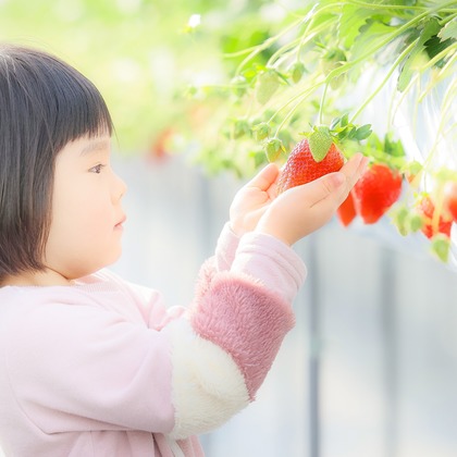 株式会社Neo-Smile 「locationbreeze」高橋 徹が撮影した「:albumName」の写真