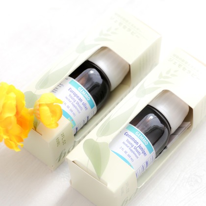 なかがわさとみが撮影した「:albumName」の写真