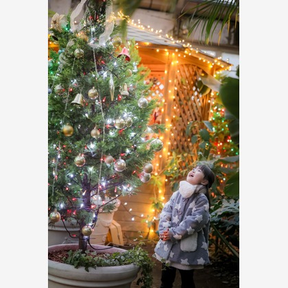 株式会社Neo-Smile 「locationbreeze」高橋 徹が出張撮影した臨江裁判所, Tooruokisan Zuigan Temple, フィクスチャなどが写った「記念写真」の家族写真